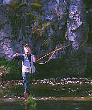 danfish.jpg (70629 bytes)