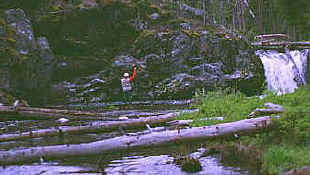 danwaterfall.jpg (58089 bytes)