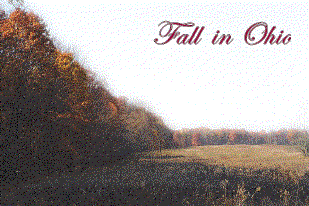 fallinoh.gif (84218 bytes)