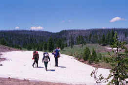 snow.jpg (54020 bytes)