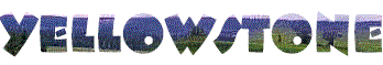 YELLOWSTONE2.gif (6554 bytes)